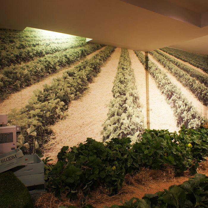 RTL12 <br> Aqueous Self Adhesive Fabric