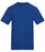 T-shirt unisexe AWDis 150 